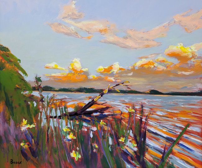 Lake Mendota July Sunset