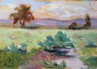 Texas Prickly Pear