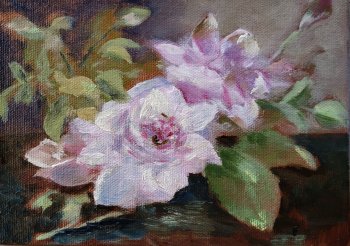 Pink Roses