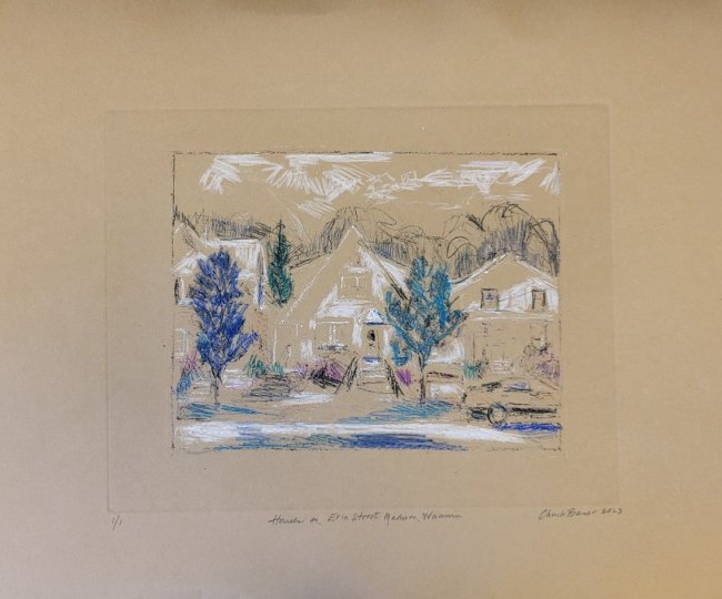 Houses on Erin Street, Madison, Wisconsin