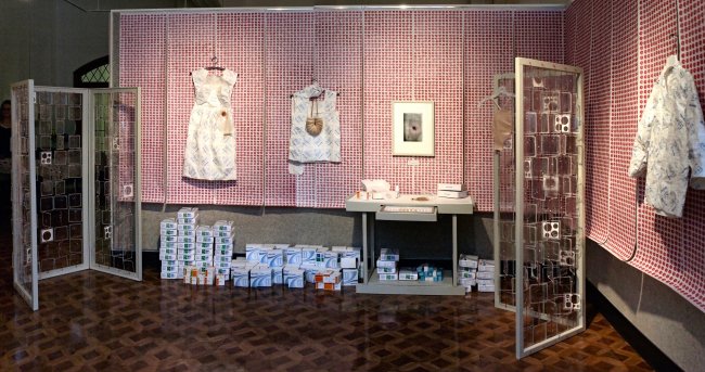 Installation view (2011)