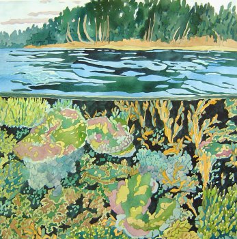 Above and Below Water