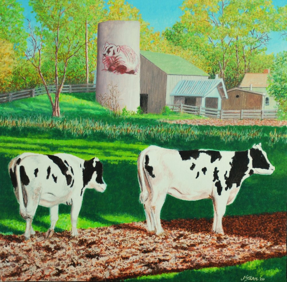 Badger Silo