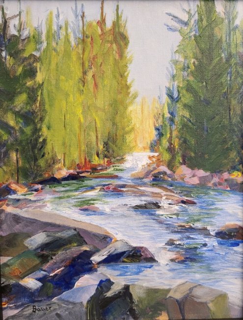 Boundary Waters Rapids