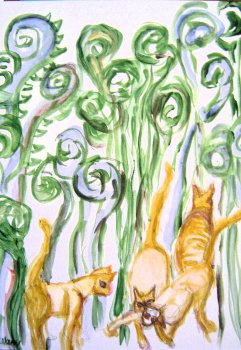 Cats and Ferns Study