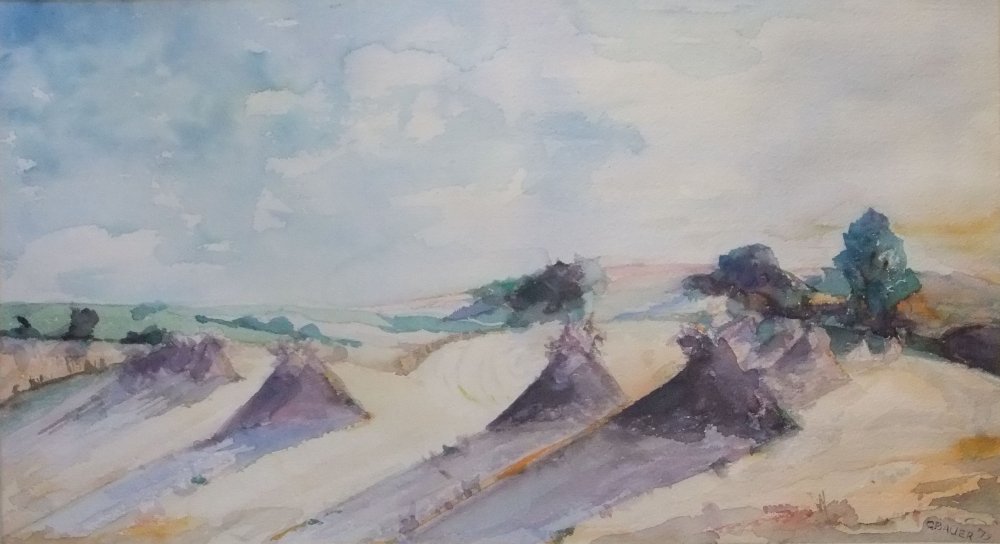 Landscape for George