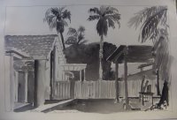 Backyard Value Study, Palm Springs, California