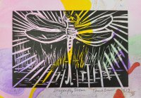 Dragonfly Dream