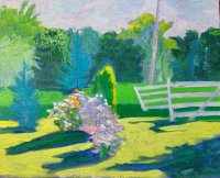 Front Yard Dusk (Gate Shadows)