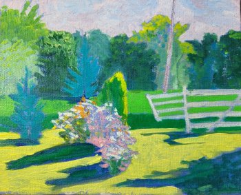 Front Yard Dusk (Gate Shadows)