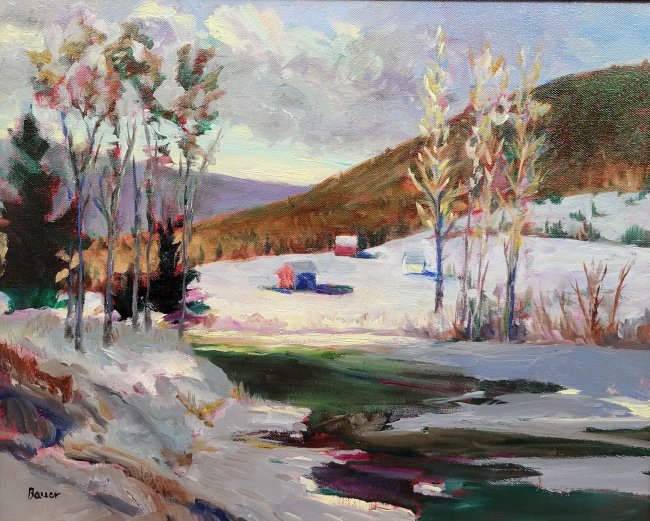 Vermont Township (high resolution image)