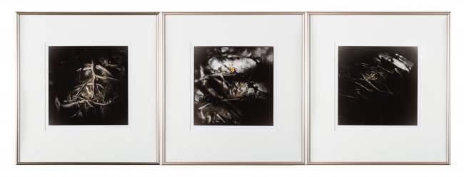 Haiku for My Mountain