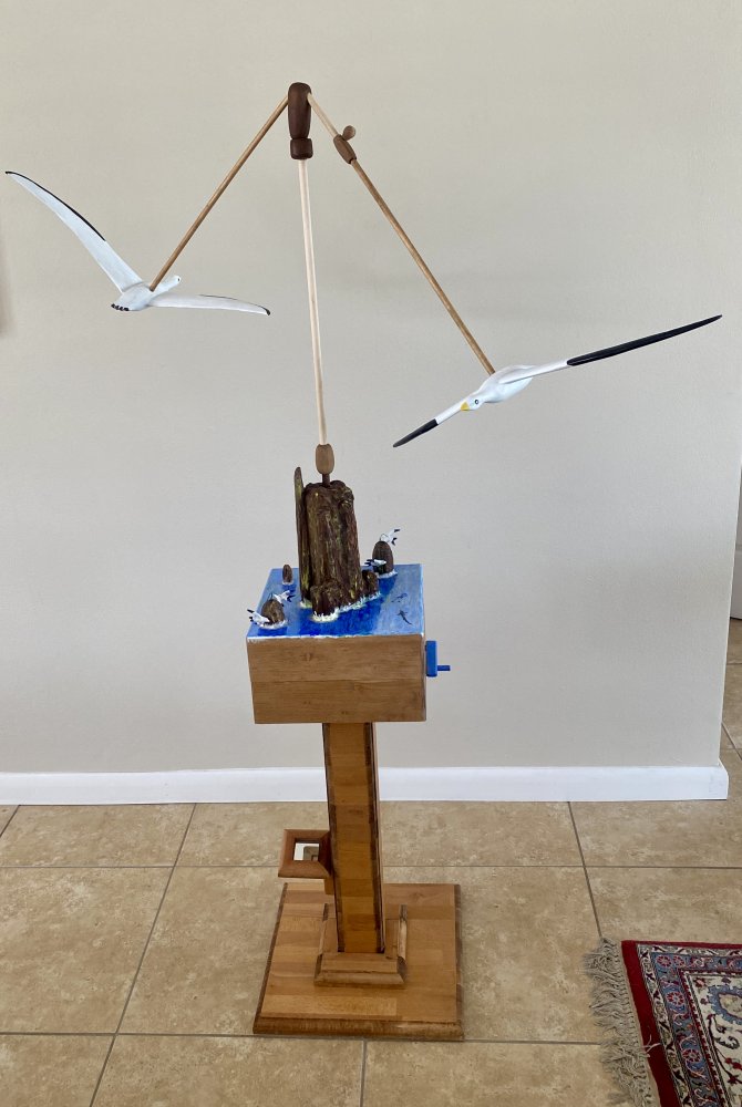 Soaring birds