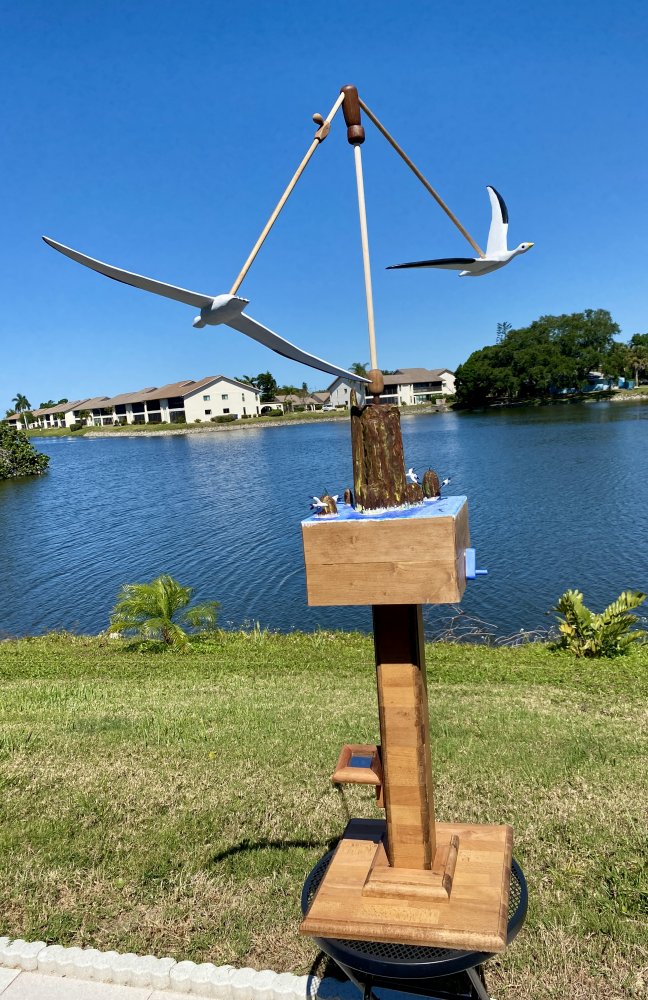 Soaring Birds 