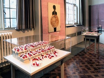 Installation view (2011)