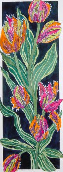 Long Tulips