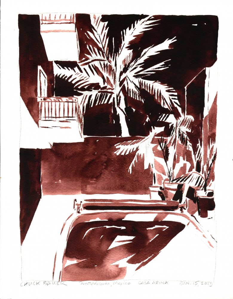 January 15, 2019, Casa Abina, Puerto Vallarta, Mexico
