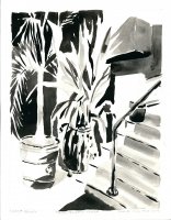 Roof Deck, Puerto Vallarta, Mexico