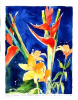 Heliconia and Lilies, Casa Abina, Puerto Vallarta, Mexico