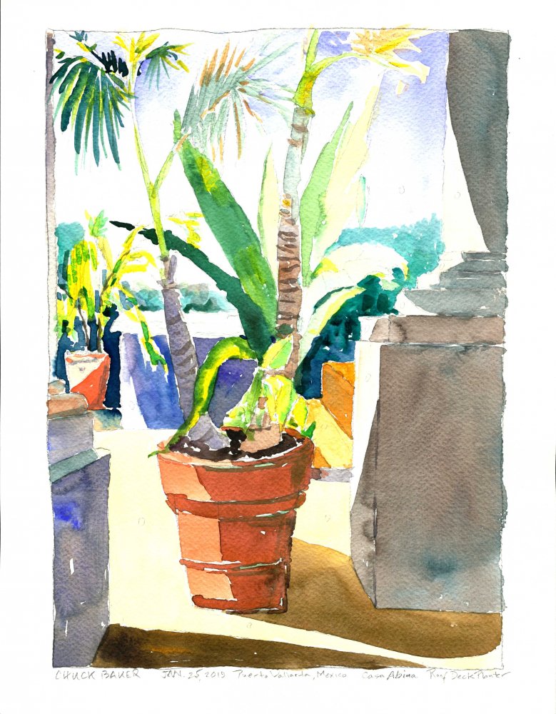Roof Deck Planter, Casa Abina, Puerto Vallarta, Mexico