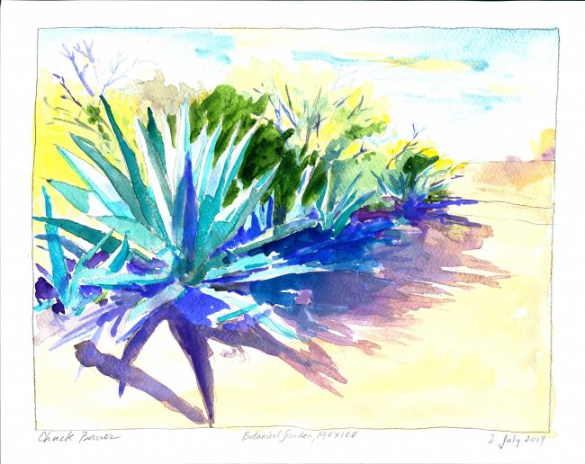 Botanical Garden in Mexico