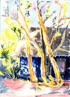 Beach Shack and Trees, Tulum IX, Mexico