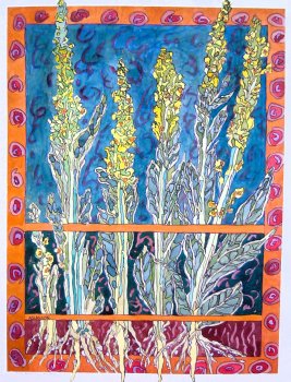 Mullein