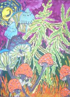 Mushroom Study