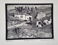 New Mexico Afternoon