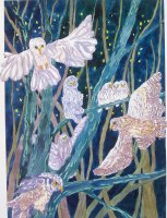Night Birds