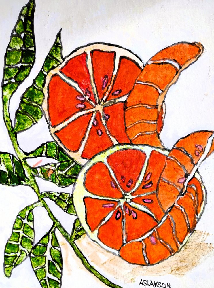 Oranges with Segments