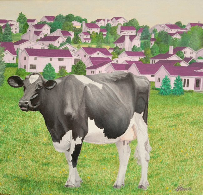 Cows and the Environment  - Pink Houses