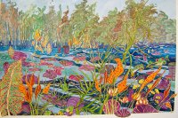 Pond Frogs