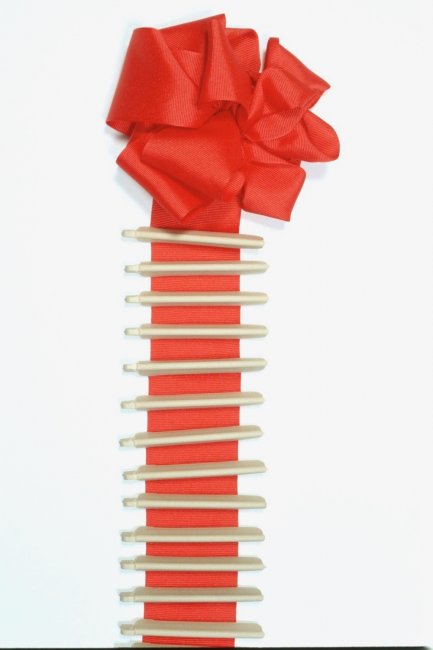 Recognition Ribbon (detail)