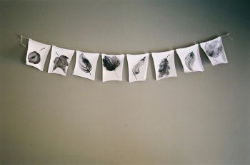 Return to Mountain (leaf flags)