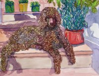 Scarlett (sold)