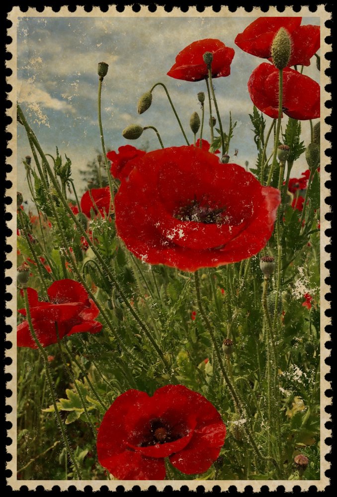 Memorial Day Stamp