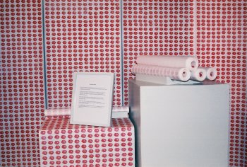 Stoma Wall installation (detail)