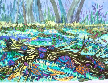 Swamp Turtles