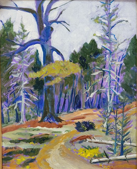 The Ridges Sanctuary Baileys Harbor, WI