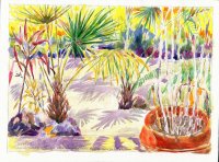 Rancho Cape, Yucatan, Mexico March 8, 2012 