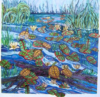 Turtle Backwater