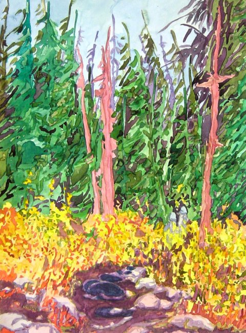 Walking to the Forest