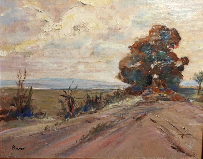 Belleville Misty Morning