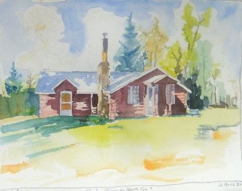 Cabin in Michigan