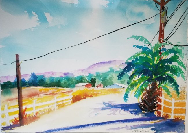 Napa Valley Frog's Leap Winery 