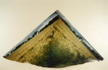 To Make a Mountain out of a Grainfield, by C.C.Bjerke