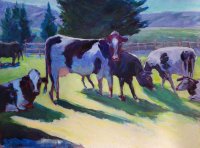 Dairy Cows in Sunshine