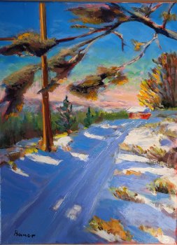 Driveway to Barn in West Middleton, Wisconsin