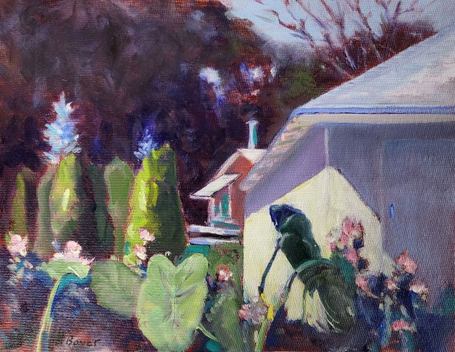 Elephant Ears in July on York Center Road